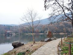 -紫霞湖公园