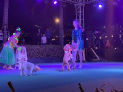 -渔家火锅·海鲜自助餐·演艺(亚龙湾天域酒店)