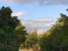 -上海崇明金茂凯悦酒店