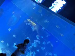 -邯郸海洋世界