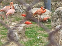 -沈阳森林动物园