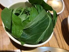 -四喜小胖·北京涮肉(五道营店)