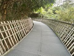 -梅峰山地公园