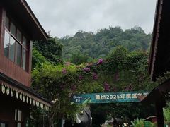 -野象谷景区