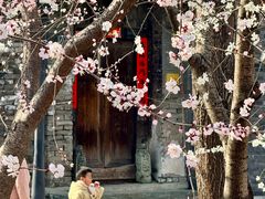 -春风习习