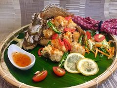-茉莉.Red Crab