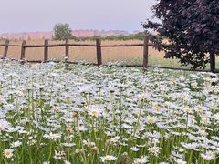 -汉长安城未央宫国家考古遗址公园