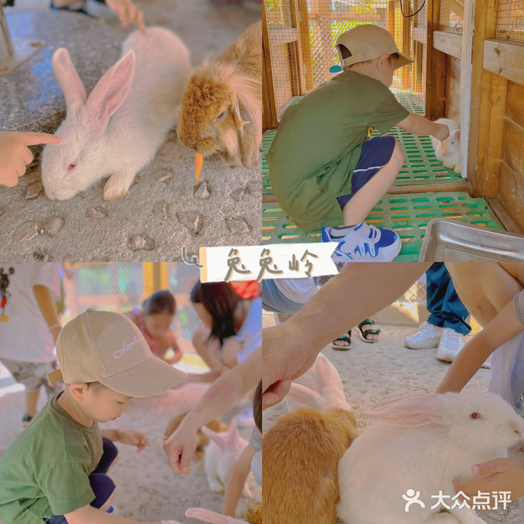 珠海旅游｜近距离接触小动物 小孩子的童话乐园