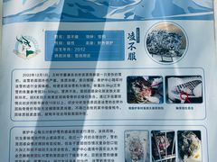 -青藏高原野生动物园