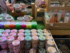 -宠物兔专门店(天丰利市场店)