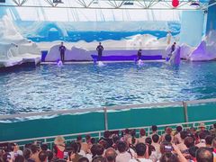 -秦皇岛乐岛海洋王国