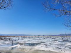 -野鸭湖国家湿地公园