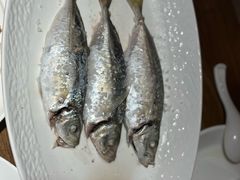 -张家卫·阳江菜·小海鲜(肥婆湾桥店)