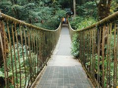 -龙苍沟森林公园