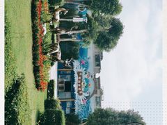 -金砂公园