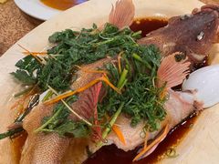 -揭阳钟记小食(福田新村店)