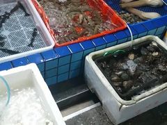 水产区-霞涌市场海鲜摆卖区