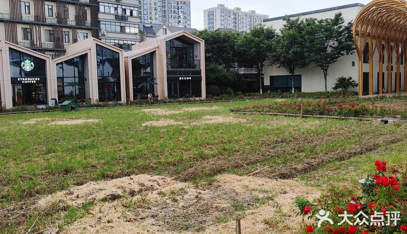 杭州大暴雨！！！连河道都要满出来了！
