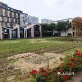 杭州大暴雨！！！连河道都要满出来了！