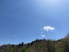 -秦岭风景区