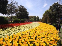 -上海鲜花港