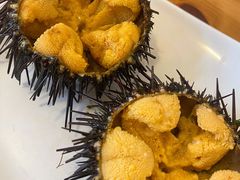 -海胆小馆(东北水饺·春柳店)