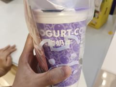 -一只酸奶牛(时代天街A馆店)