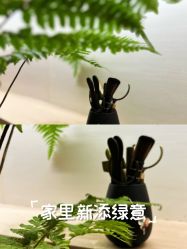 -森林头疗美容养发馆