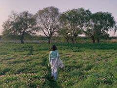 -湖南东洞庭湖国家级自然保护区