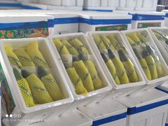 -东方鼎信农副产品交易中心