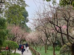 -成都杜甫草堂博物馆