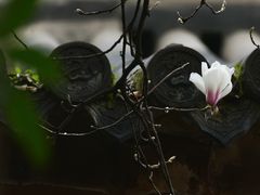 -龙华寺