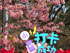 -南山植物园