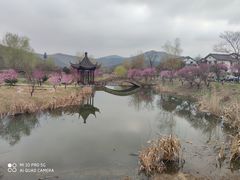-石塘人家