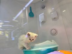 -龟与熊猫宠物公园(南坪店)
