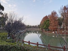 -九科绿洲