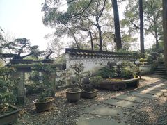 -南山植物园