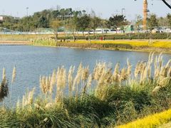 -星巴克(成都科学城店)