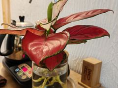 -瓦舍茶馆(聚源路店)