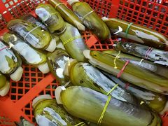 -阿锋鲍鱼酒家美食汇(华安店)