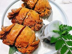 醉蟹-江南苑精菜坊