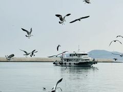 -刘公岛景区
