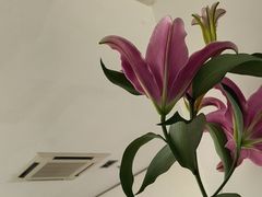 -卡罗酒店(东门晒布地铁站店)