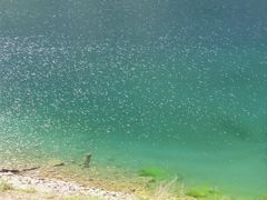 -叠溪松坪沟景区