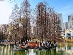 -白塘生态植物园