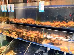 -烧货·活海鲜炭烧(湖滨商业街店)