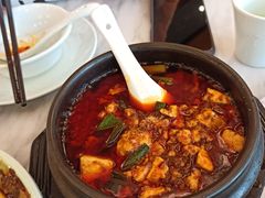 -陈麻婆豆腐总店