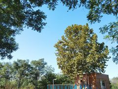 -大兴滨河森林公园