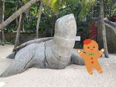 -海南分界洲岛旅游区