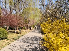 -元大都城垣遗址公园